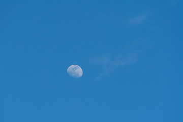 Half Moon Background / The Moon is an astronomical body that orbits planet Earth, being Earth's...