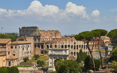 Fototapeta na wymiar coliseum roman forum in rome italy
