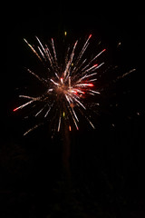 Bright firework explosion in the night sky