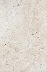 cement texture background for floor and wall material