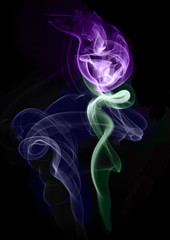 Obraz premium A purple rose formed by smoke from insence and colored in post-production.