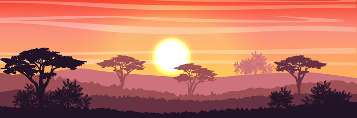 African Savannah at sunset. Acacia trees, grass, sky, sun and clouds. Realistic vector landscape. The nature of Africa. Reserves and national parks. 