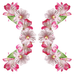 Beautiful pattern of pink Alstroemeria and mallow 