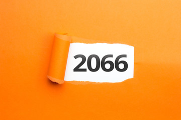 surprising Number / Year 2066 orange background