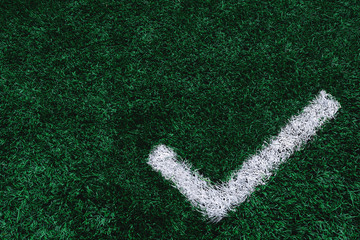 the check mark is drawn with white paint on the grass of the football field