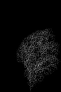 Tree Based On L-Shaped System