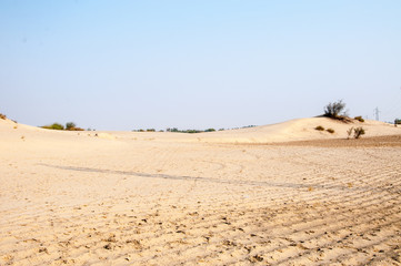 Sand dunes and trees in the Thal desert