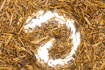 Catuaba bark tea, macro, isolated. Natural herbal tea from powdered Catuaba tree bark. Brazilian...