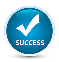 Success (validate icon) special prime blue round button