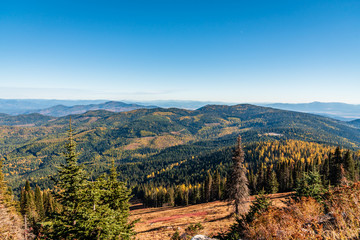 Autumn Scenery In Mount Spokane State Park, Spokane, Washington, USA