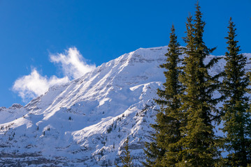 A snow covered mountain on a clear blue winter day in the Canadian Rocky Mountains at Black Prince Cirque in Peter Lougheed Provincial Park, Alberta, Canada