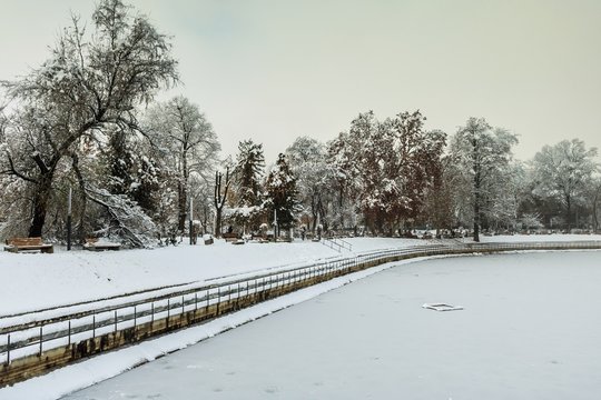 Snow at the lake