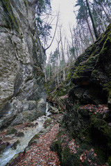 Steinwandklamm in Austria