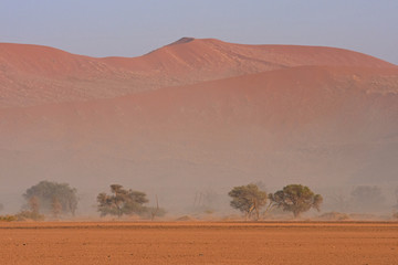 Sandsturm im Namib-Naukluft Nationalpark (Sossusvlei) in Namibia