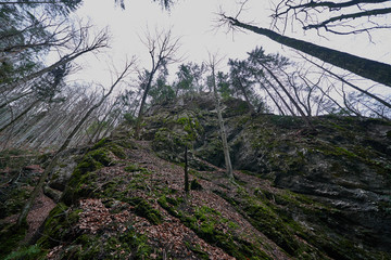 Steinwandklamm in Austria