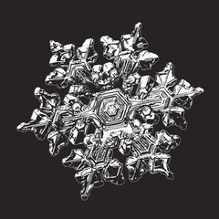 Snowflake isolated on black background. Vector illustration based on macro photo of real snow crystal: beautiful stellar dendrite with complex, elegant arms, ornate shape and glossy, relief surface.
