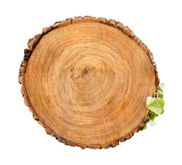 Large circular piece of wood cross section with tree ring texture pattern and cracks isolated on...