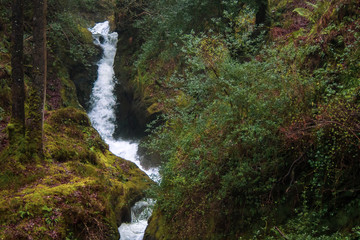 Wasserfall in Irland