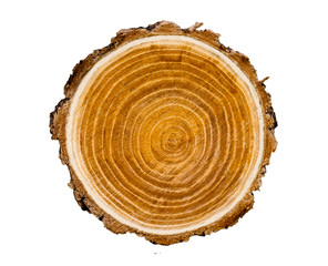 Large circular piece of wood cross section with tree ring texture pattern and cracks isolated on...