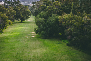 Fototapeta na wymiar Kings Park, Perth, Australia
