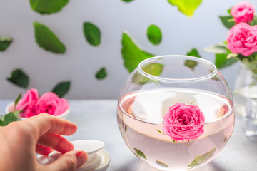 Facial lotion extract with rose petals. Cotton pads. Healing homemade skincare moisture tonic.