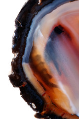 Obraz premium Macro mineral stone Yellow, brown Agate breed a white background close up