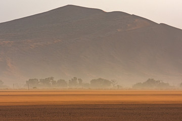 Obraz na płótnie Canvas Sandsturm im Namib-Naukluft Nationalpark (Sossusvlei) in Namibia
