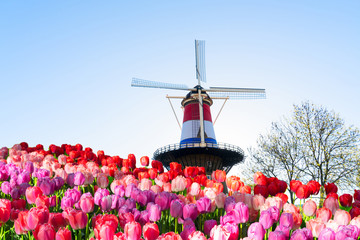 Windmill of Leiden