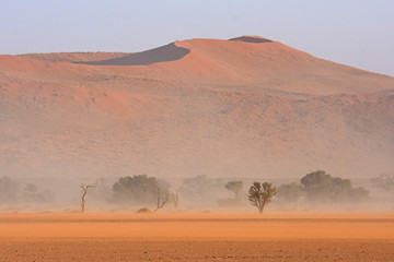 Fototapeta na wymiar Sandsturm im Namib-Naukluft Nationalpark (Sossusvlei) in Namibia