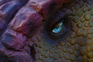 Dinosaur face close up, focus on eye