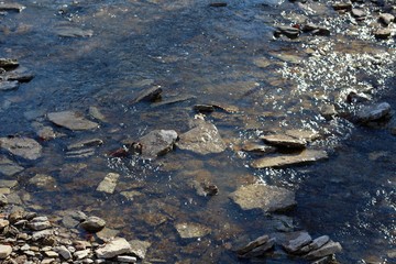 The flowing water of the creek with the rocks and stones .