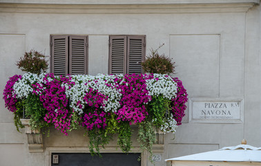 Navona Square of the Vatican City of Rome