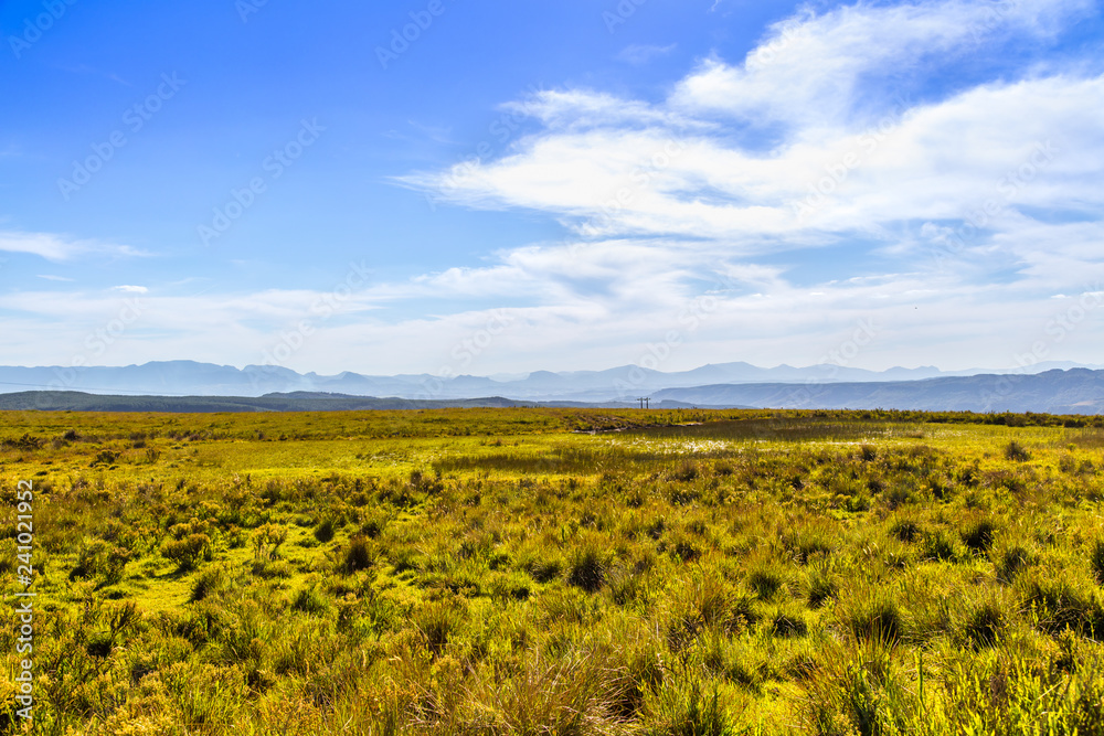 Canvas Prints Planalto Catarinense - Brasil