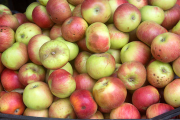 Fototapeta na wymiar Closeup of Apples on Market