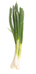 Spring Onions on a White Background