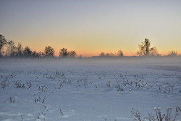 winter landscape with fog and trees
