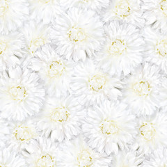 Seamless floral pattern. Chaotic arrangement of flowers. White aster flower.