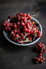 Organic food concept