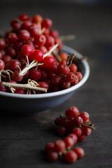 Organic food concept