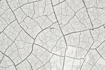 Cracked  soil background