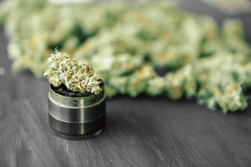Macro of marijuana with trichomes and crushed weed in a grinder