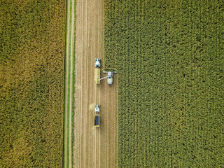 mechanized corn harvesting in Europe, Germany drone top down view