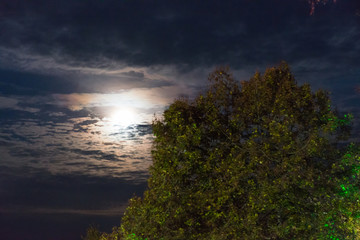 Vollmond hinter Wolkenhimmel