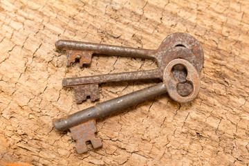 Old Skeleton Keys on Barn Wood