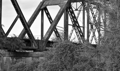 Railroad Bridge and trees