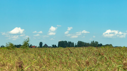 Obraz premium Outskirts of Amsterdam