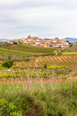 Fototapeta na wymiar Beautiful agricultural May landscape on the Way of St. James, Camino de Santiago in Navarre, Spain, the Cirauqui or Zirauki urban skyline in the distance