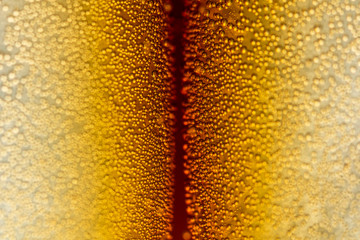 Water Drops On Orange Background Texture Cola colorful waterdrop