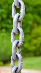 ESLABONES DE CADENA SOBRE FONDO VERDE