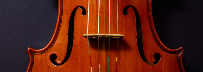 violin